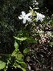 P6010794_l.JPG