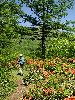 DSC0004_l.JPG