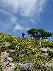 DSC0011_l.JPG