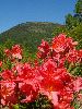 P6150836_l.JPG