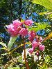P6150837_l.JPG