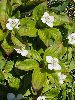 P6150839_l.JPG