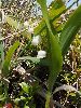 P6150860_l.JPG