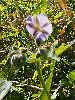 P6150866_l.JPG