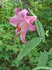 P6220875_l.JPG