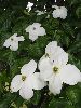 P6220893_l.JPG