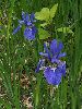 P6220895_l.JPG