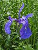 P6220920_l.JPG