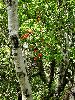 DSC0008_l.JPG