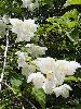 P6290925_l.JPG