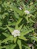 P6290939_l.JPG