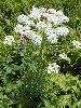 P6290943_l.JPG