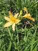 P6290944_l.JPG