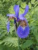 P6290957_l.JPG