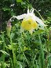 P6290958_l.JPG
