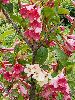 P6290962_l.JPG