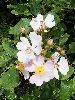 P6290968_l.JPG