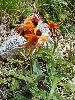 P6290971_l.JPG