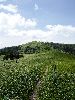 DSC0003_l.JPG