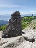 DSC0021_l.JPG