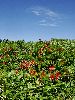 DSC0023_l.JPG