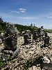 DSC0030_l.JPG