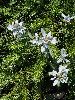 P7070999_l.JPG