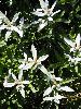 P7071002_l.JPG