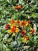 P7071014_l.JPG