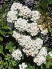 P7071028_l.JPG