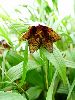 DSC00003_l.JPG