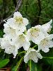 DSC00005_l.JPG
