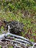 DSC0028_l.JPG