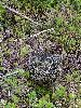 DSC0050_l.JPG
