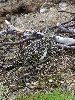 DSC0072_l.JPG