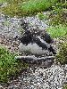 DSC0090_l.JPG