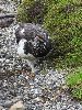 DSC0095_l.JPG