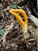 P7211091_l.JPG