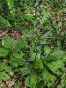 P7211092_l.JPG
