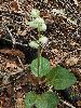P7211093_l.JPG