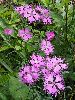 P7211096_l.JPG