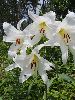P7211184_l.JPG