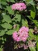 P7211203_l.JPG