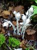 DSC00070_l.JPG