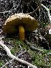 DSC0048_l.JPG