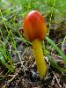 DSC0055_l.JPG