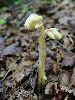 DSC0079_l.JPG