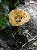 DSC0091_l.JPG