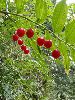 P7281218_l.JPG