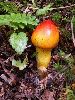 P7281237_l.JPG